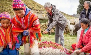 Visita a comunidades rurales que cultivan superfoods, donde podrás degustar platos elaborados con ingredientes autóctonos en su entorno original.