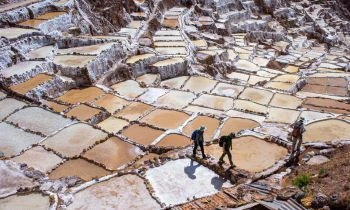 Explora los senderos andinos en una caminata consciente. Cada paso estará acompañado de meditaciones guiadas que te ayudarán a liberar tensiones y enfocarte en el presente, mientras admiras paisajes naturales de ensueño.