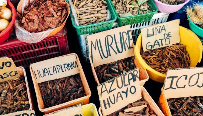 Exploración del Mercado de Belén