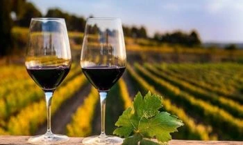 Recorrido por viñedos y bodegas en Ica, con catas privadas de pisco y maridajes especiales de vinos locales y tapas tradicionales.