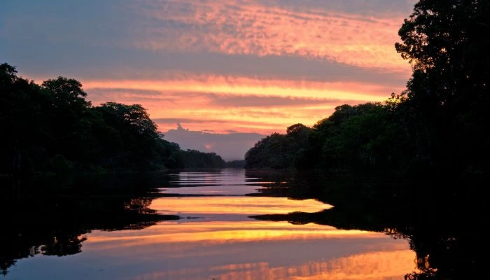 Reserva Nacional Pacaya Samiria