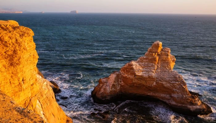 Reserva Nacional de Paracas