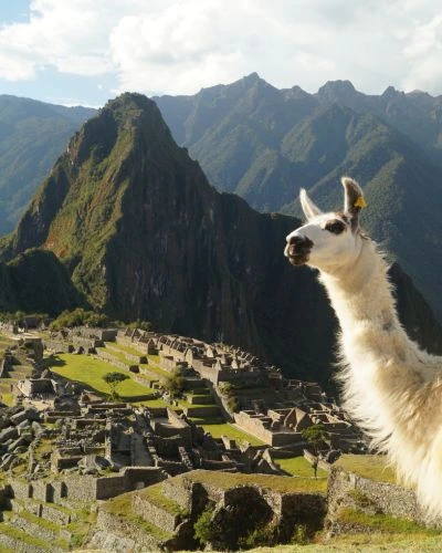 Peru Amazonico - Machu picchu